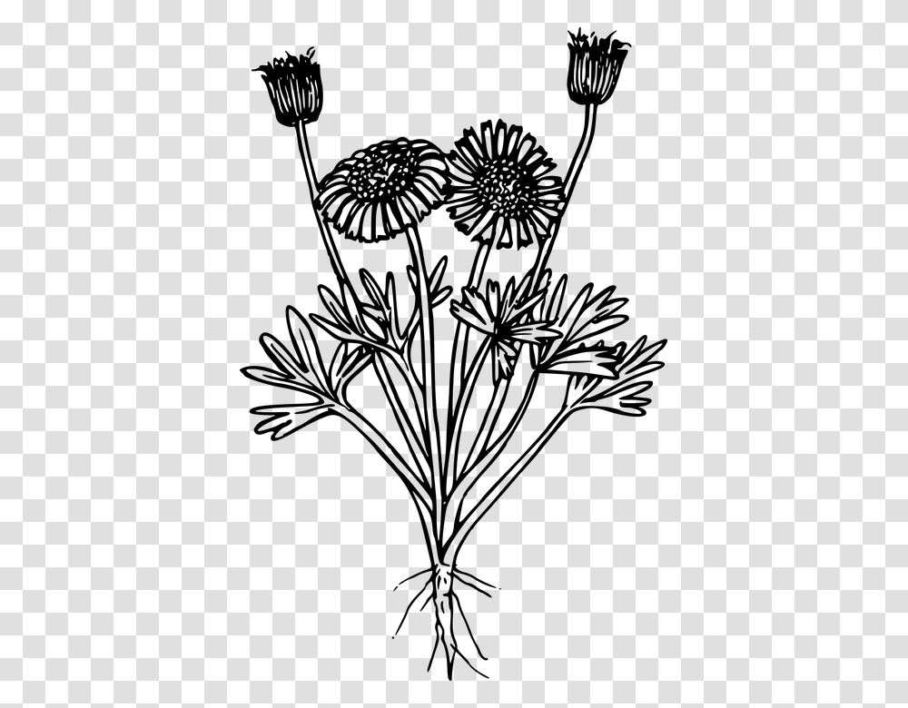 Flower Plant Wild Wildflower Wildflower Black And White, Gray, World Of Warcraft Transparent Png