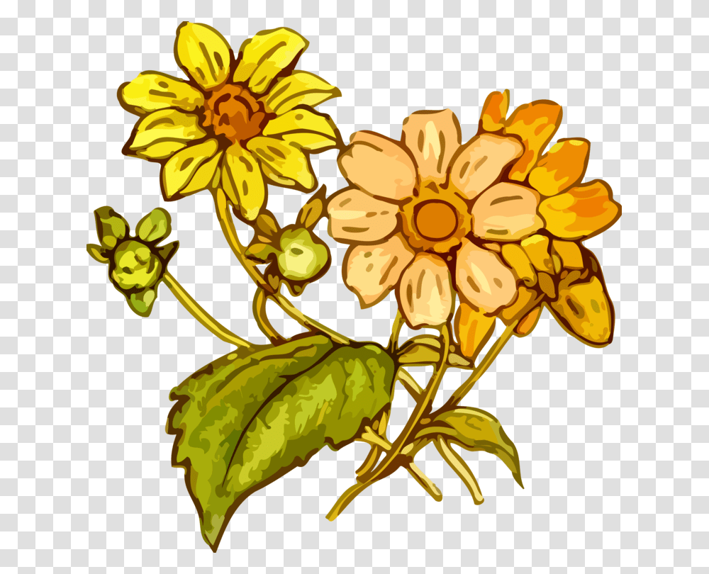 Flower Plants Clipart, Floral Design, Pattern, Blossom Transparent Png