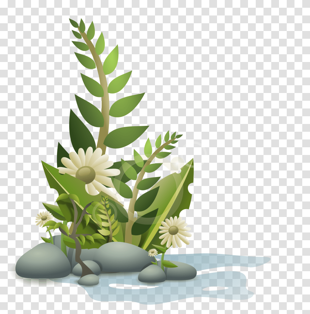 Flower Plants Clipart, Ikebana, Vase, Ornament, Flower Arrangement Transparent Png