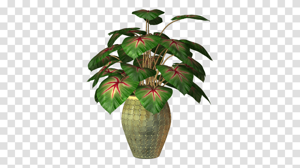 Flower Plants In Pot 1 Image Houseplant, Vase, Jar, Pottery, Potted Plant Transparent Png