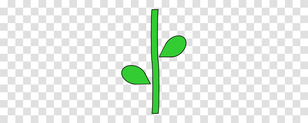 Flower Plants Leaf Asphodels Plant Stem, Green, Bamboo, Food Transparent Png