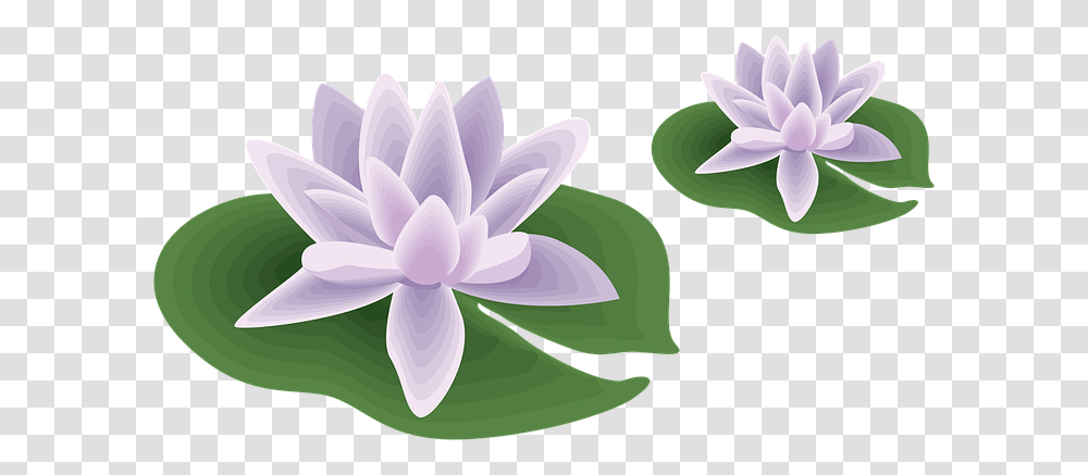 Flower Pool Water Natural Outdoor Garden Plant Well Designed Document Example, Lily, Blossom, Pond Lily, Petal Transparent Png