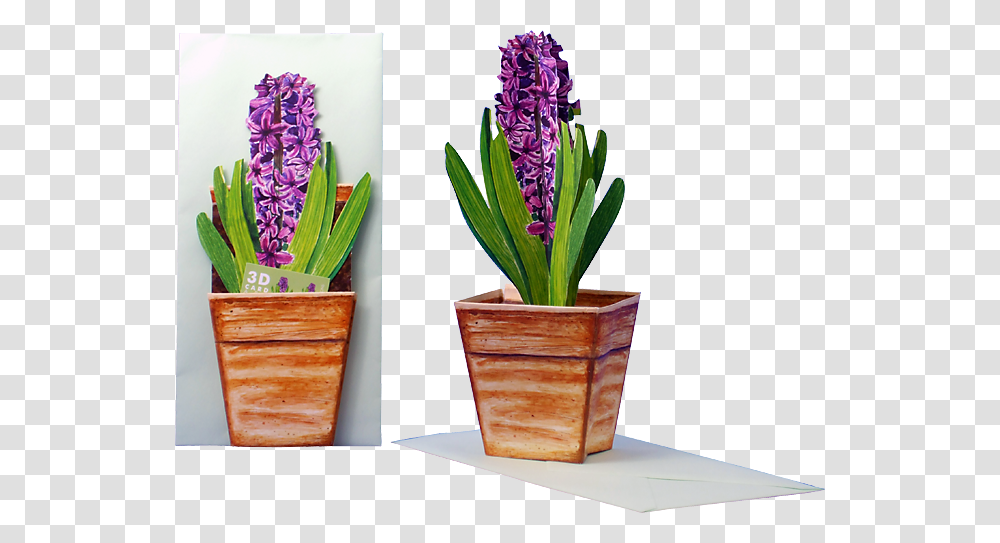 Flower Pot 3d, Plant, Blossom, Lilac, Lavender Transparent Png