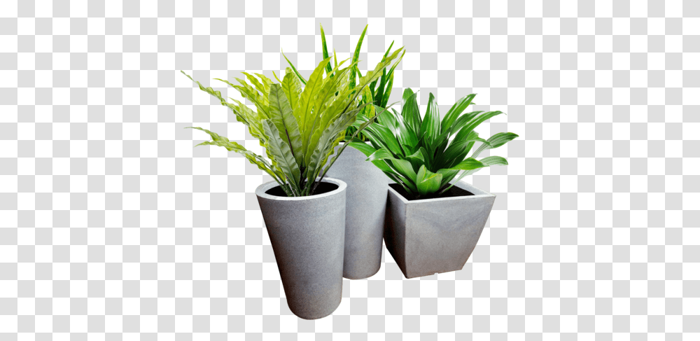 Flower Pot Hd Images 1 Image Drawing, Plant, Potted Plant, Vase, Jar Transparent Png