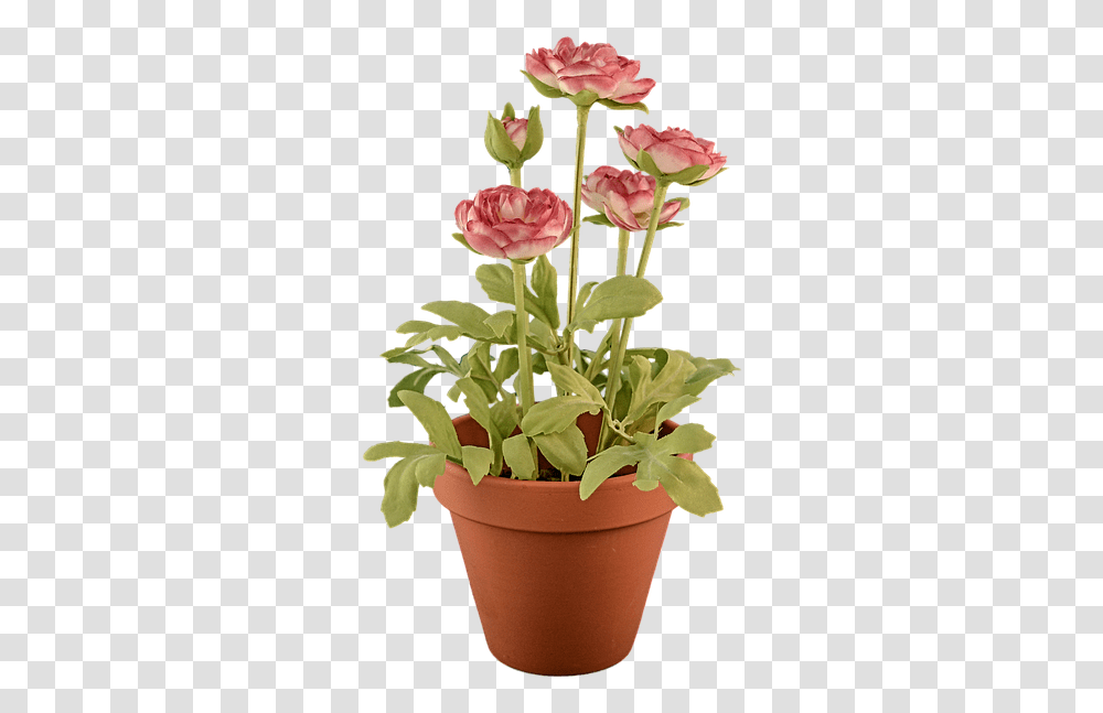 Flower Pot Potpng Images Pluspng Flowers In Pot Background, Plant, Blossom, Flower Arrangement, Flower Bouquet Transparent Png