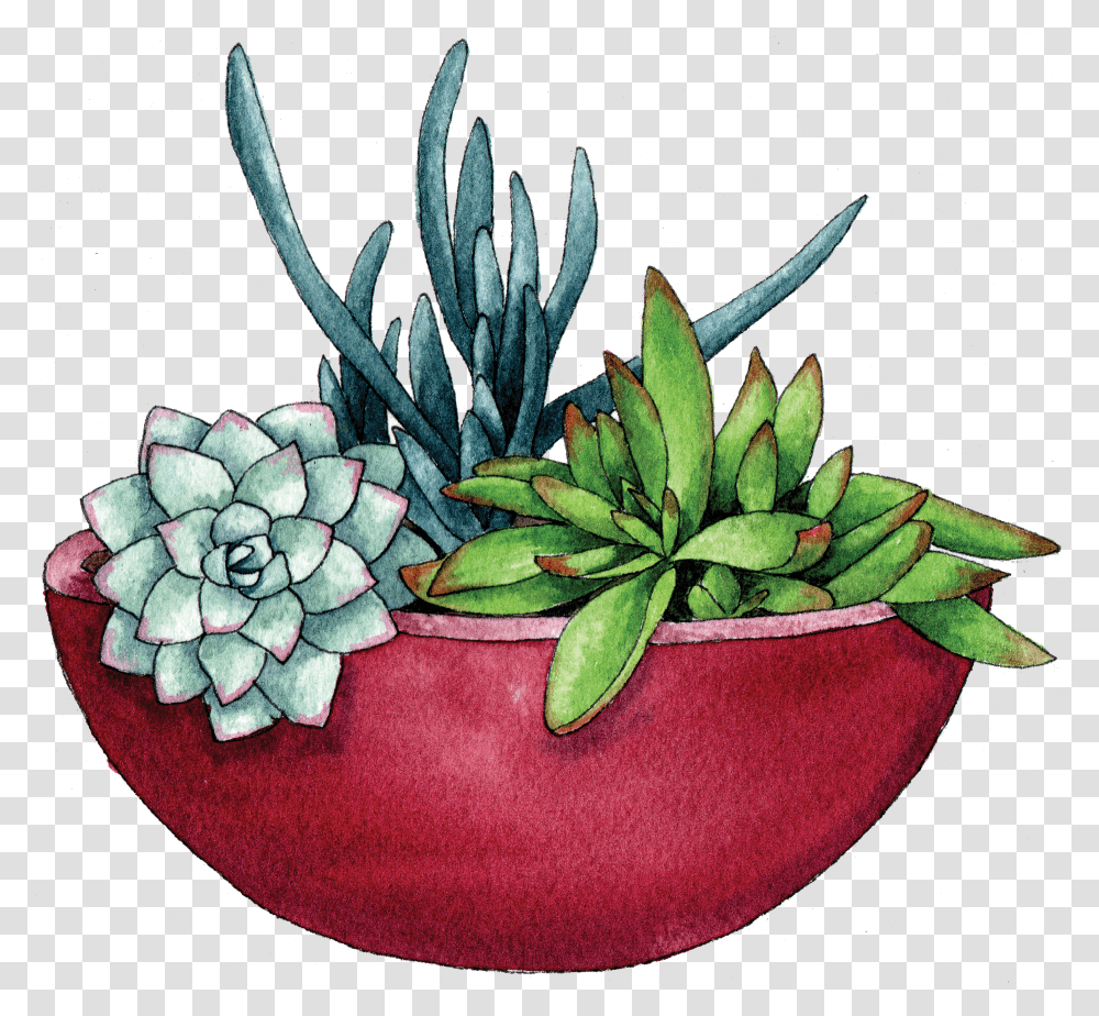 Flower Pot Succulent Bowl 484507 Vippng Succulents In Bowl Illustration Transparent Png