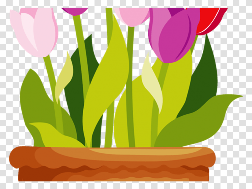 Flower Pot Vector Cartoons Flower Pot Clipart, Plant, Blossom, Tulip, Petal Transparent Png