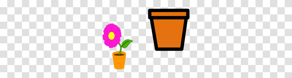 Flower Pots Clip Art, Plant, Blossom, Carnation, Cup Transparent Png