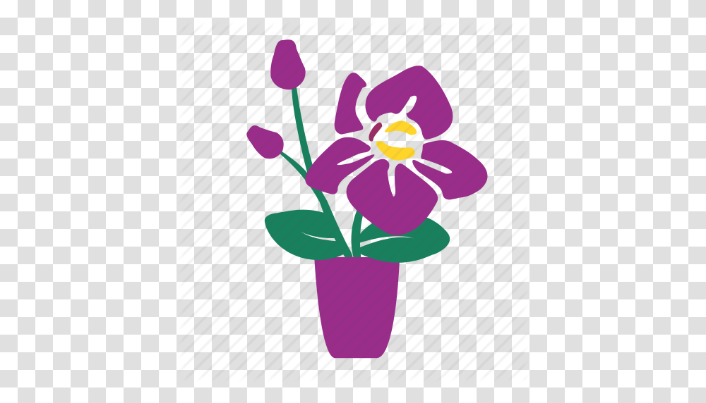 Flower Pots In Orchid Three Three Orchid Vase Window Icon, Plant, Blossom, Honey Bee, Insect Transparent Png