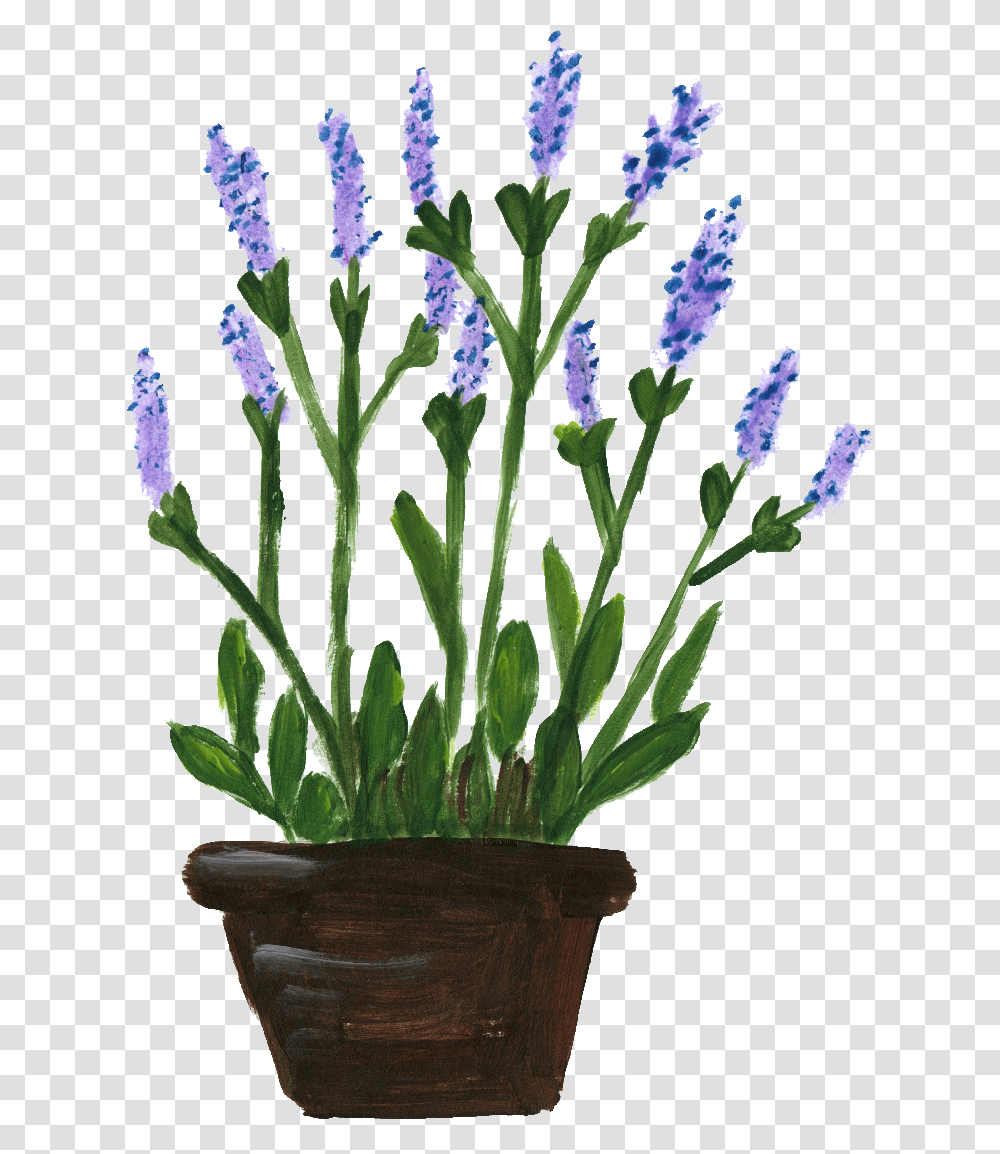 Flower Pots With Flowers Potted Flower Lavender Plants Background, Blossom, Iris Transparent Png