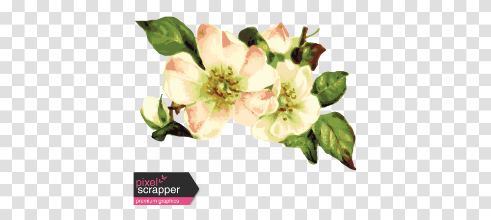 Flower Power Elements Kit Flower Bunch Graphic By Marisa Flower Bunch Hd Digital, Plant, Blossom, Rose, Cherry Blossom Transparent Png