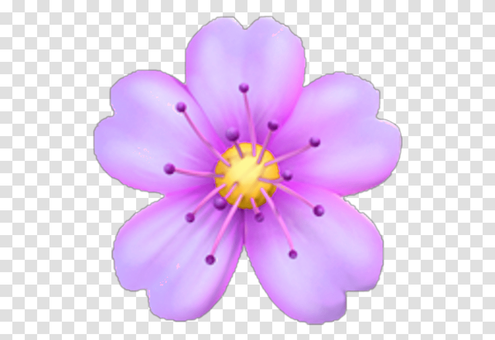 Flower Purple Emoji Flower Emoji, Plant, Blossom, Geranium, Anther Transparent Png