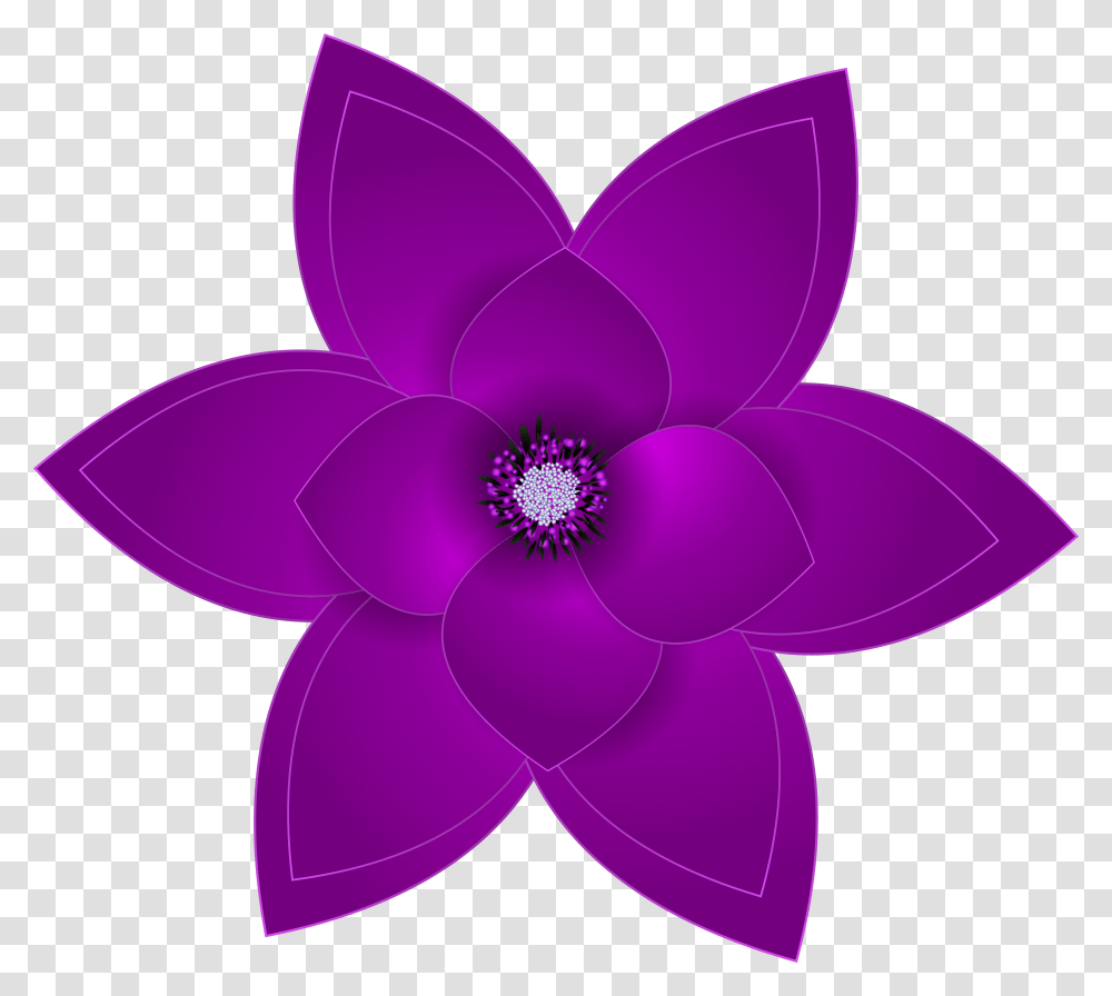 Flower Purple Picture Flowers, Petal, Plant, Blossom, Dahlia Transparent Png