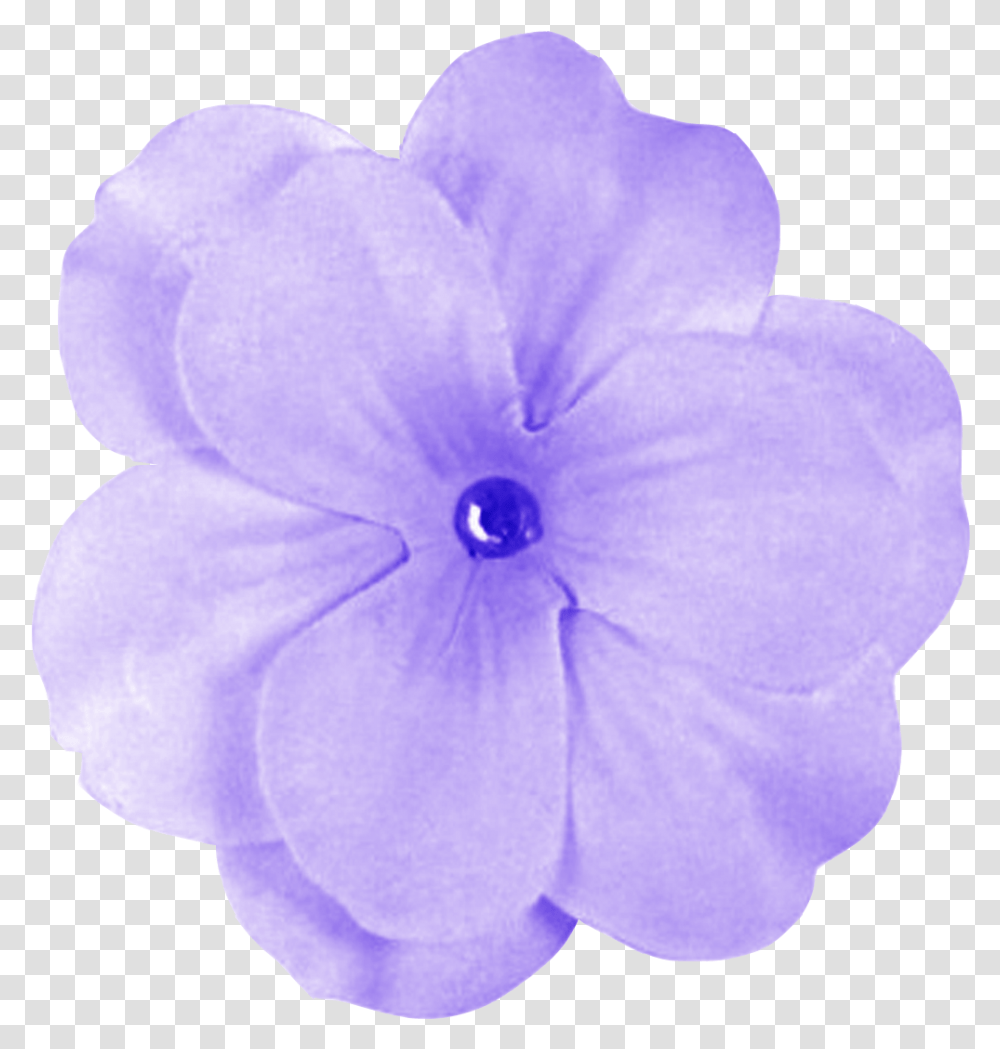 Flower Purple Picture Purple Flower Background, Geranium, Plant, Blossom, Petal Transparent Png