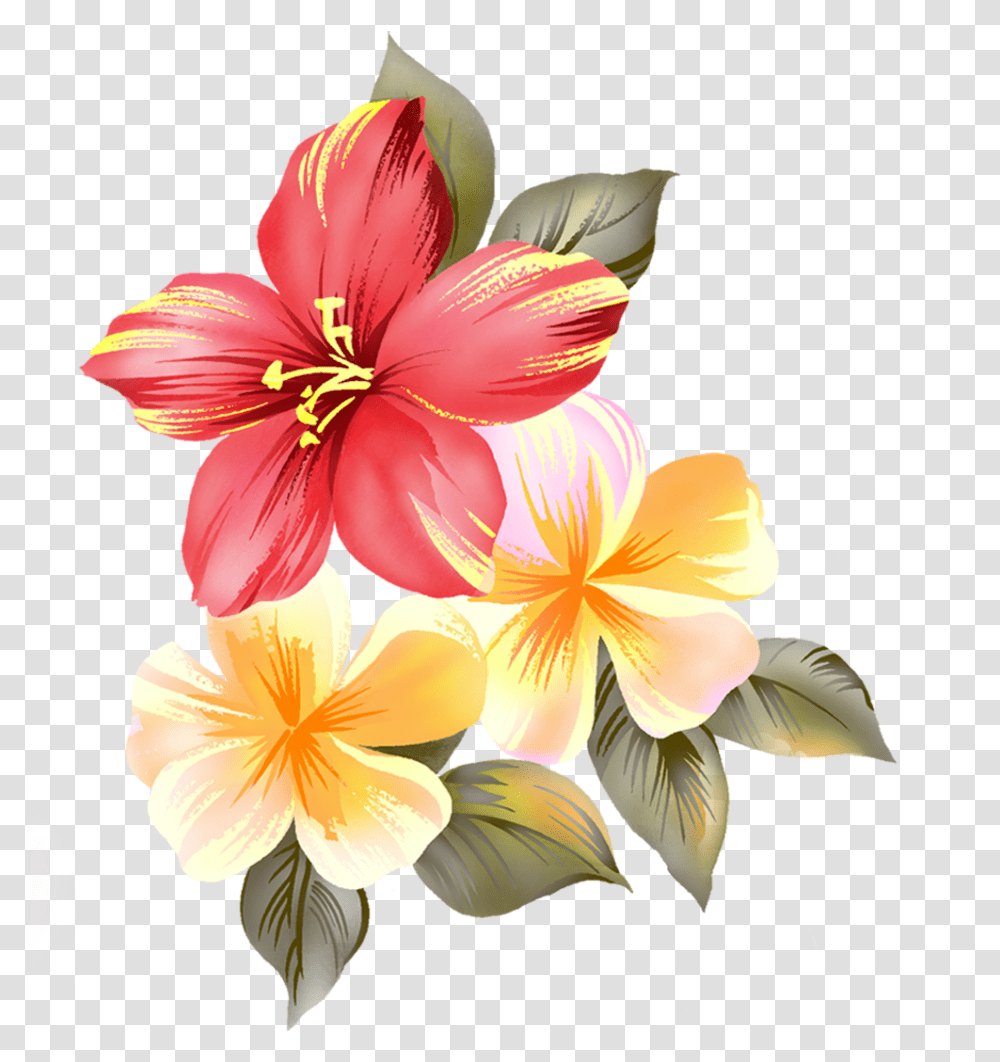 Flower Raster, Plant, Blossom, Hibiscus, Lily Transparent Png
