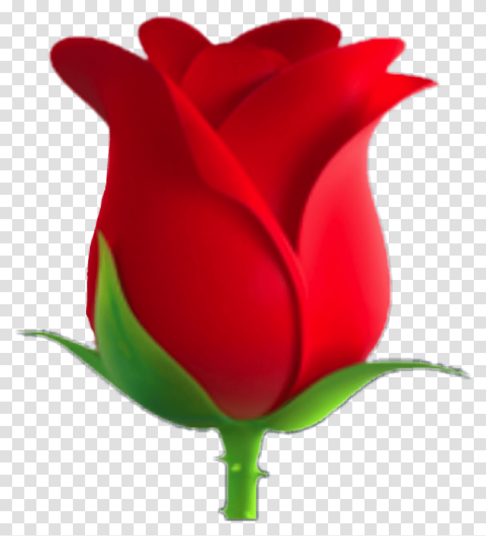Flower Redflower Emojis Green Lovely Rose Emoji, Plant, Blossom, Petal, Tulip Transparent Png
