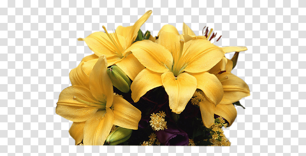 Flower Rg Designs Mensagem Para Quarta Feira De Cinzas, Plant, Blossom, Flower Bouquet, Flower Arrangement Transparent Png