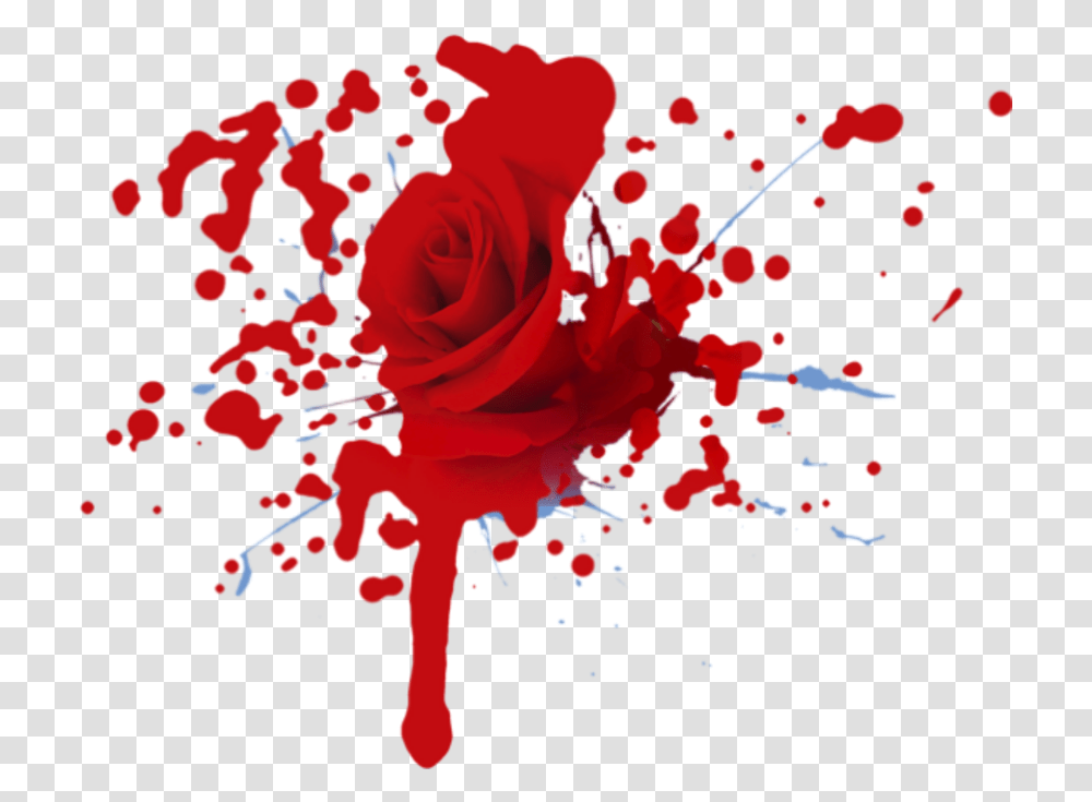 Flower Rose Blood Bleeding Hurt Hurted Weeping Rose With Blood, Plant, Petal Transparent Png