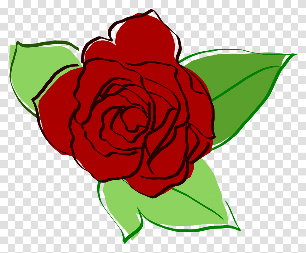 Flower Rose Drawing, Plant, Blossom, Petal Transparent Png