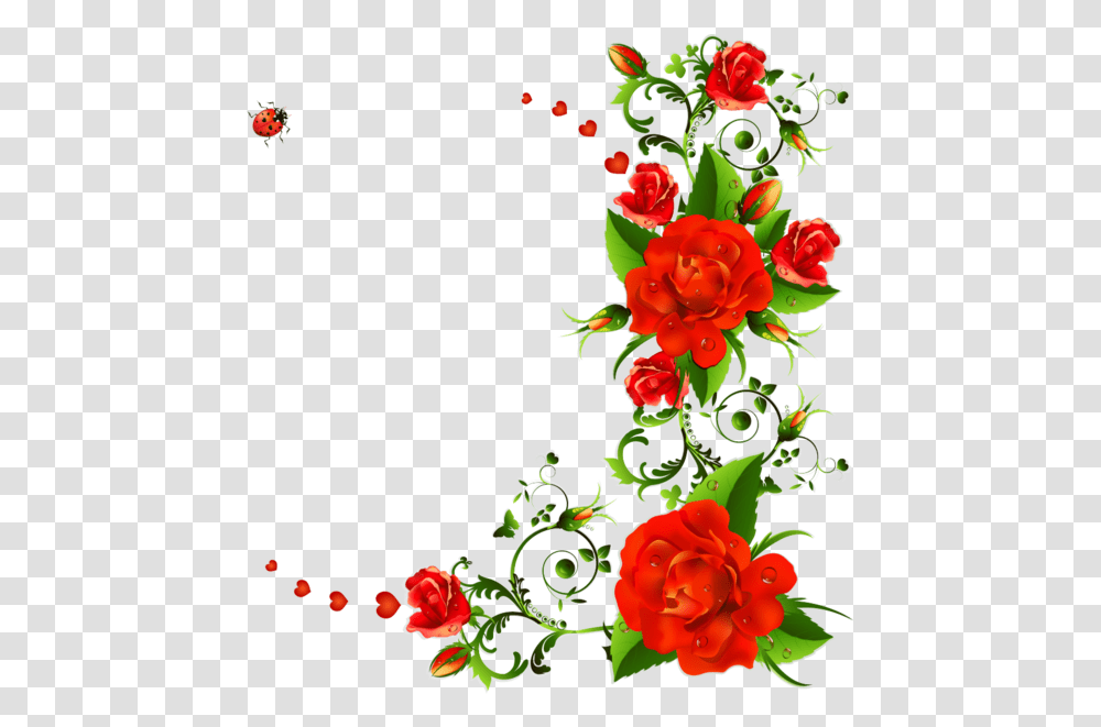 Flower Rose Drawing Red For Valentines, Graphics, Art, Floral Design, Pattern Transparent Png