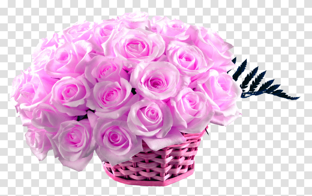 Flower Rose Hd Wallpaper 50 Pink Roses Pink Rose Image Hd, Plant, Flower Bouquet, Flower Arrangement, Blossom Transparent Png