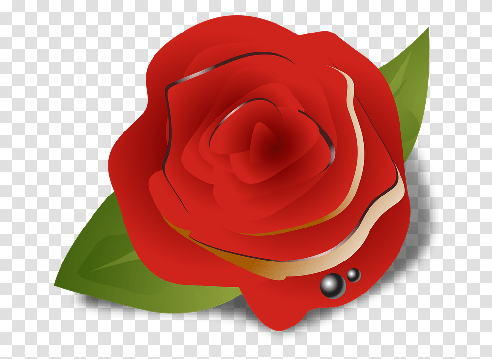 Flower Rose Red Ghulab Colour Garden Roses, Plant, Blossom, Petal Transparent Png