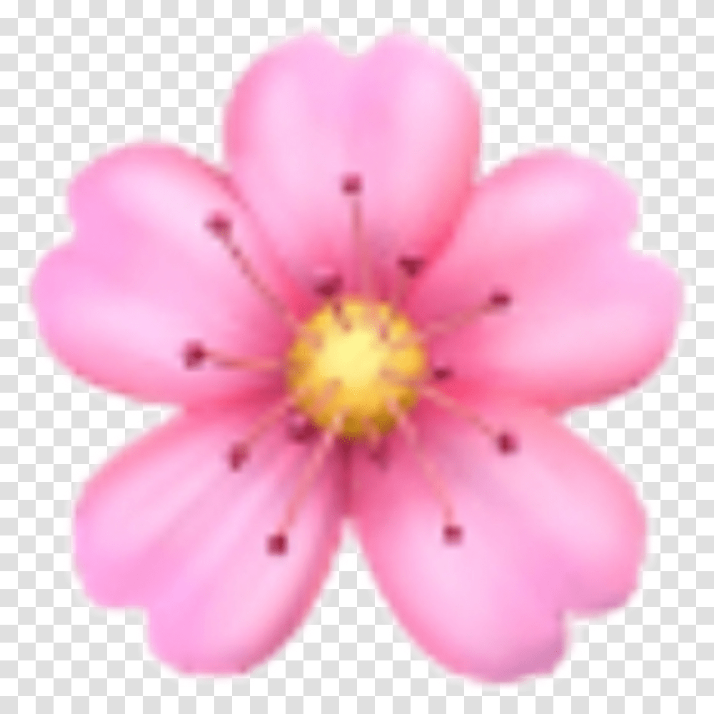 Flower Sakura Emoji Emojis Rose Sticker Iphone Flower Emoji, Plant, Anther, Blossom, Petal Transparent Png