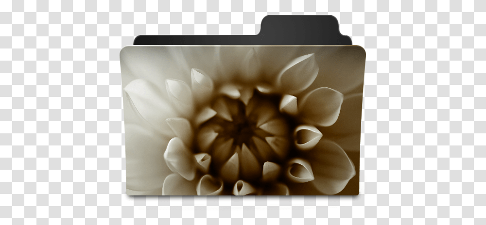 Flower Sepia Icon Goodies Folder Icons Softiconscom Flower Desktop Folder Icons, Electronics, Plant, Phone, Blossom Transparent Png