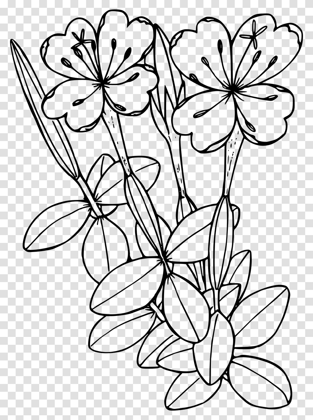 Flower Shape, Gray, World Of Warcraft Transparent Png