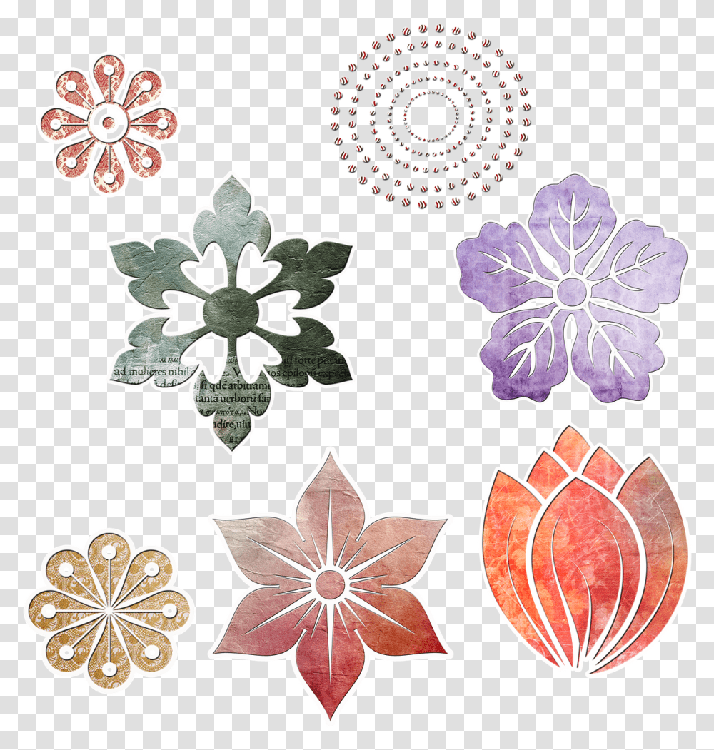 Flower Shape, Pattern, Floral Design Transparent Png