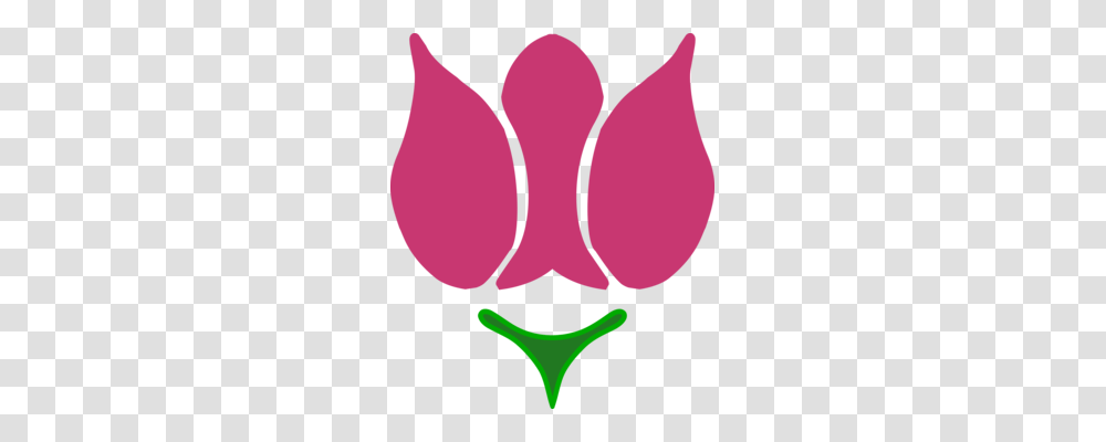 Flower Shape Symmetry Check Computer Icons, Plant, Heart, Tree Transparent Png