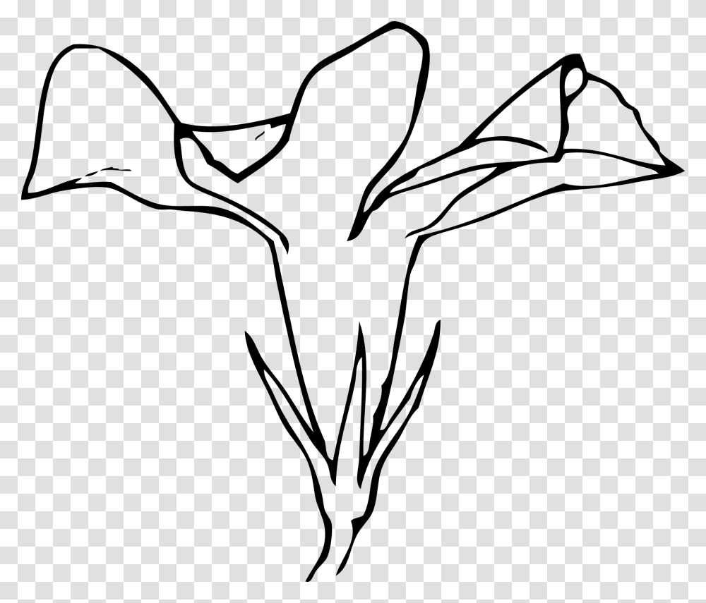Flower Side View Drawing, Plant, Stencil, Tree, Photography Transparent Png