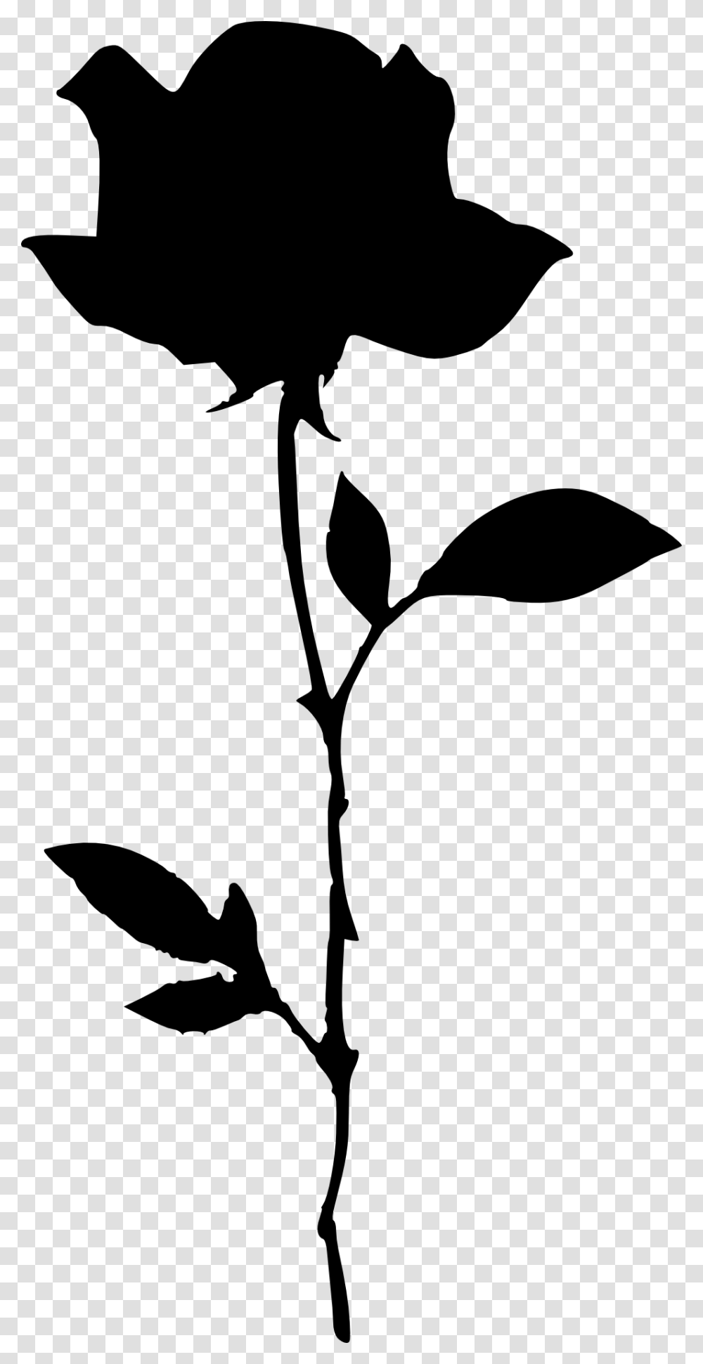 Flower Silhouette Background, Plant, Blossom, Stencil, Rose Transparent Png