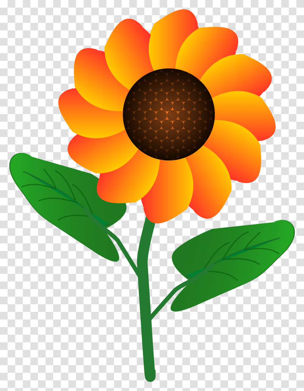 Flower Simple Flower Clipart Design, Plant, Blossom, Petal, Sunflower Transparent Png