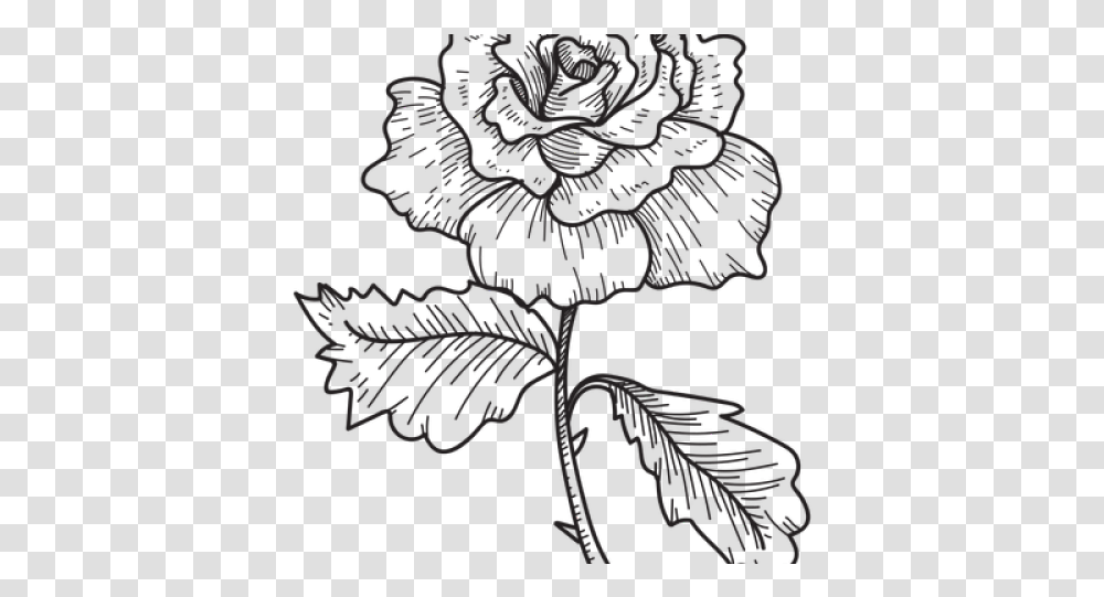 Flower Sketch Flower Sketch, Plant Transparent Png
