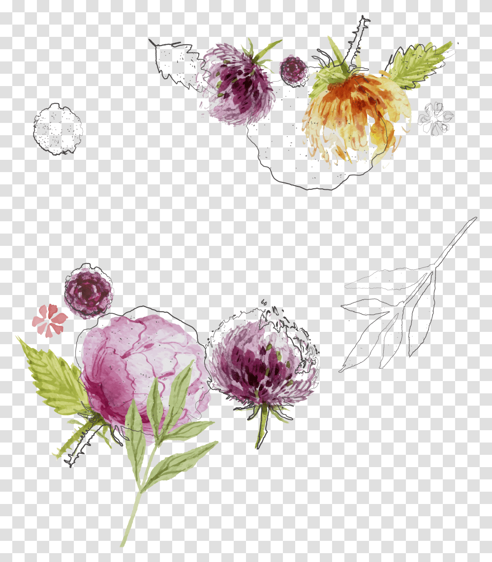 Flower Sketch Spring Flowers Background Vector, Plant, Food, Vegetable, Cauliflower Transparent Png
