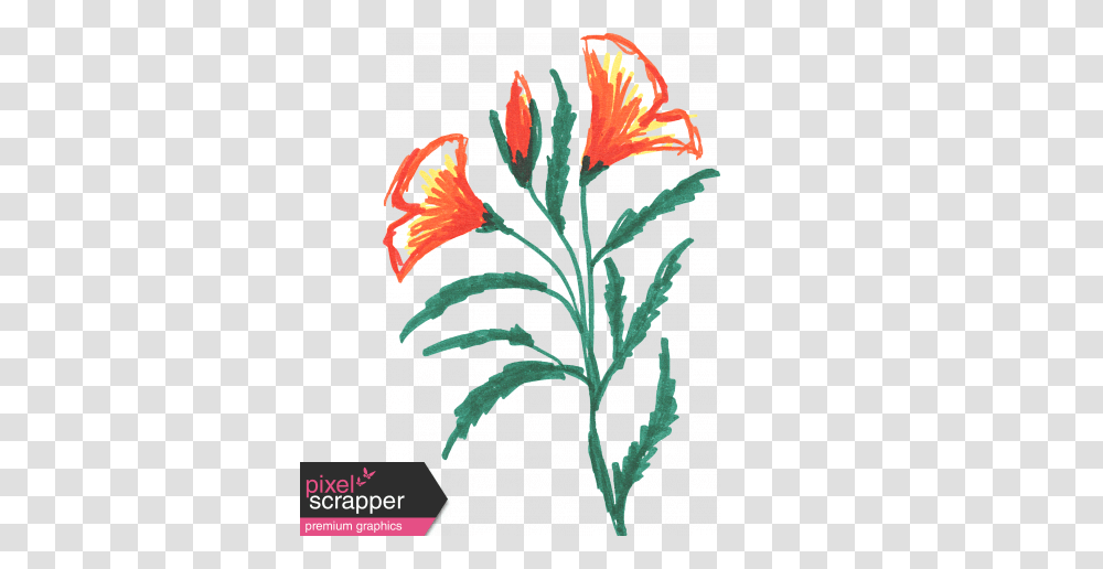 Flower Sketches, Poster, Advertisement, Plant, Flyer Transparent Png