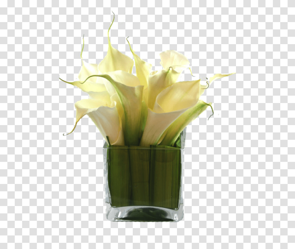 Flower Small Vase, Plant, Blossom, Flower Arrangement, Flower Bouquet Transparent Png