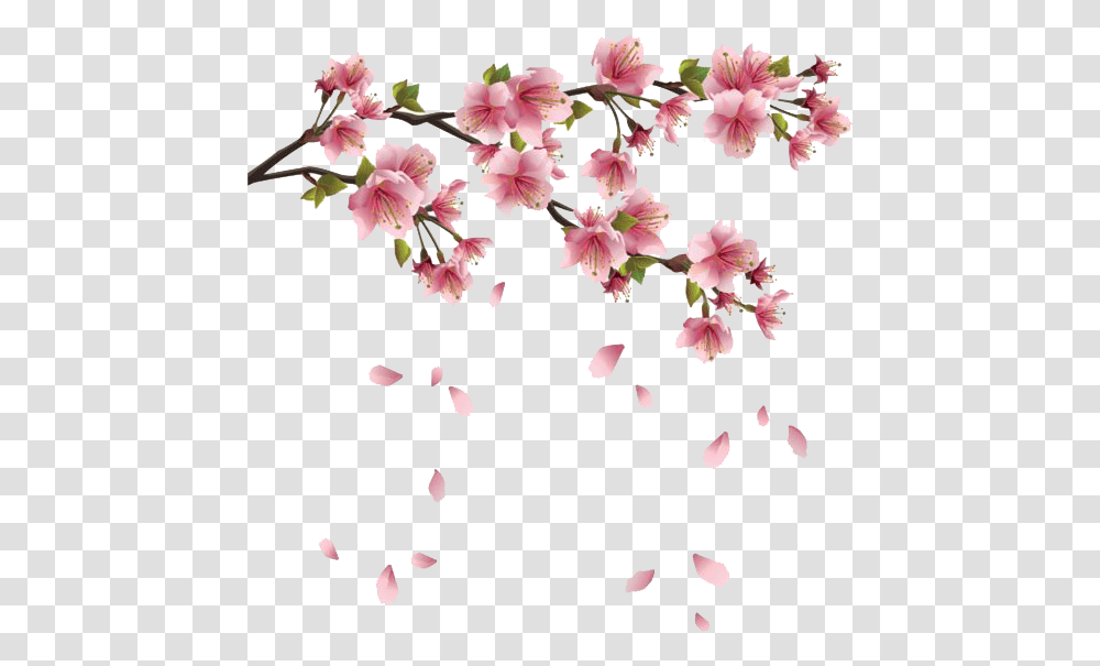 Flower Spring Branch Clip Art Spring, Plant, Blossom, Petal, Cherry Blossom Transparent Png