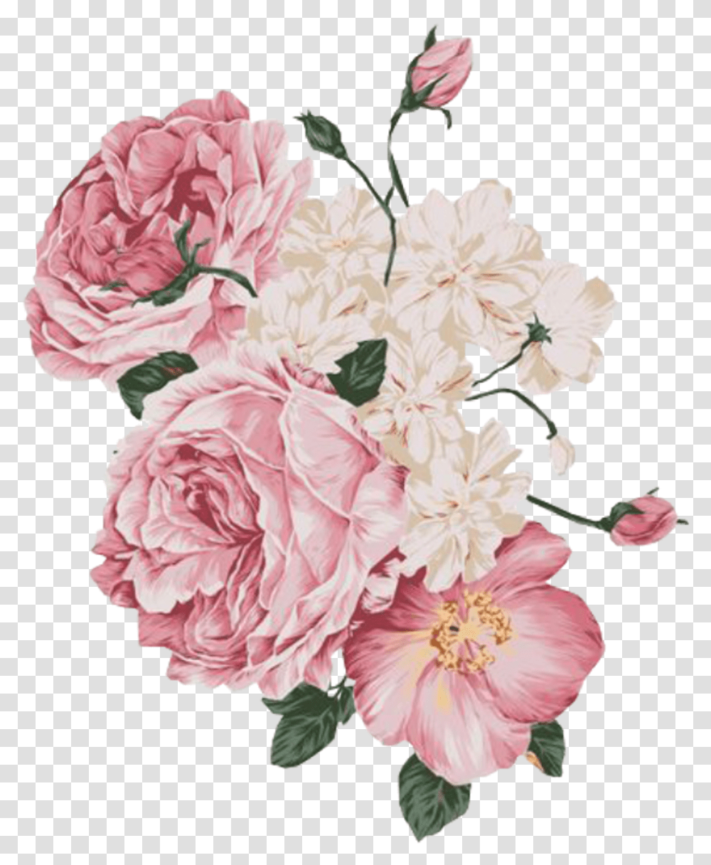 Flower Spring Pink Free Overlays, Plant, Blossom, Carnation, Peony Transparent Png