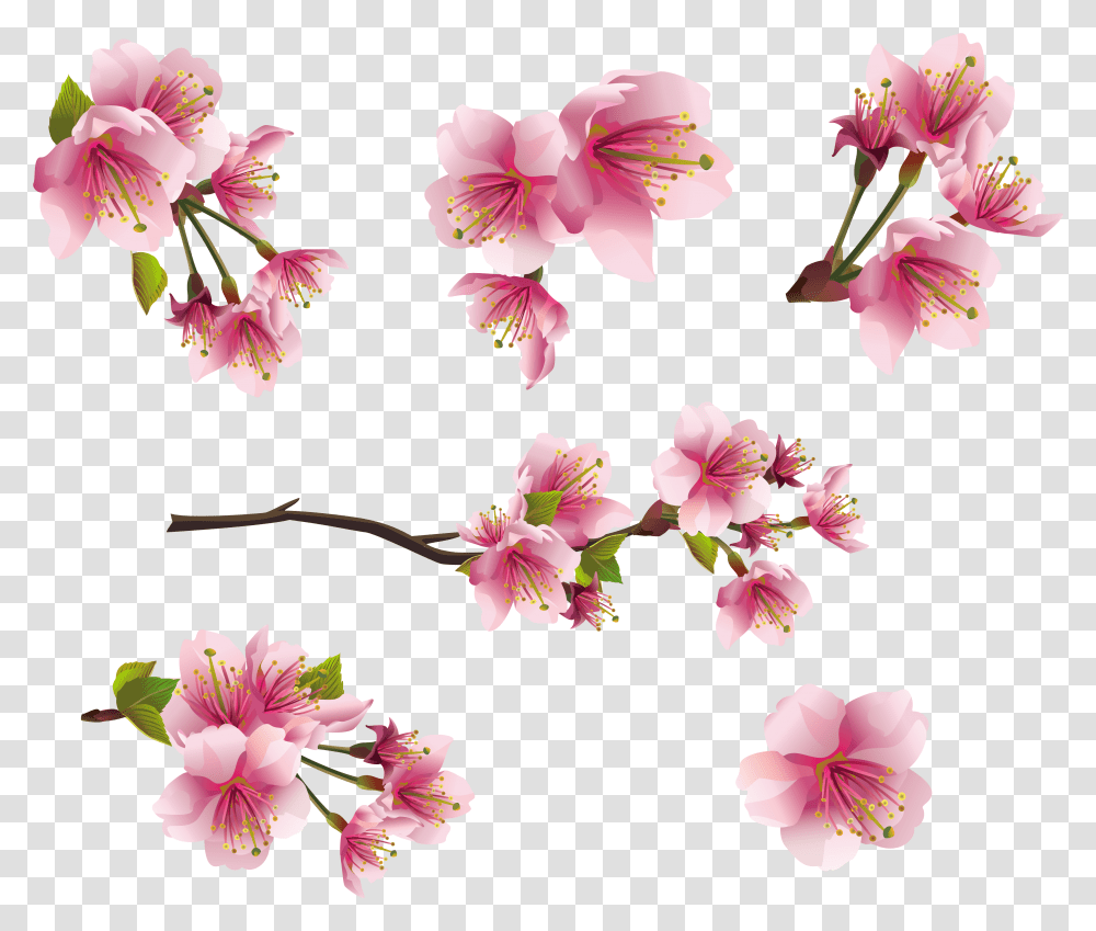 Flower Spring Pink Tiny Flowers, Plant, Blossom, Petal, Anther Transparent Png