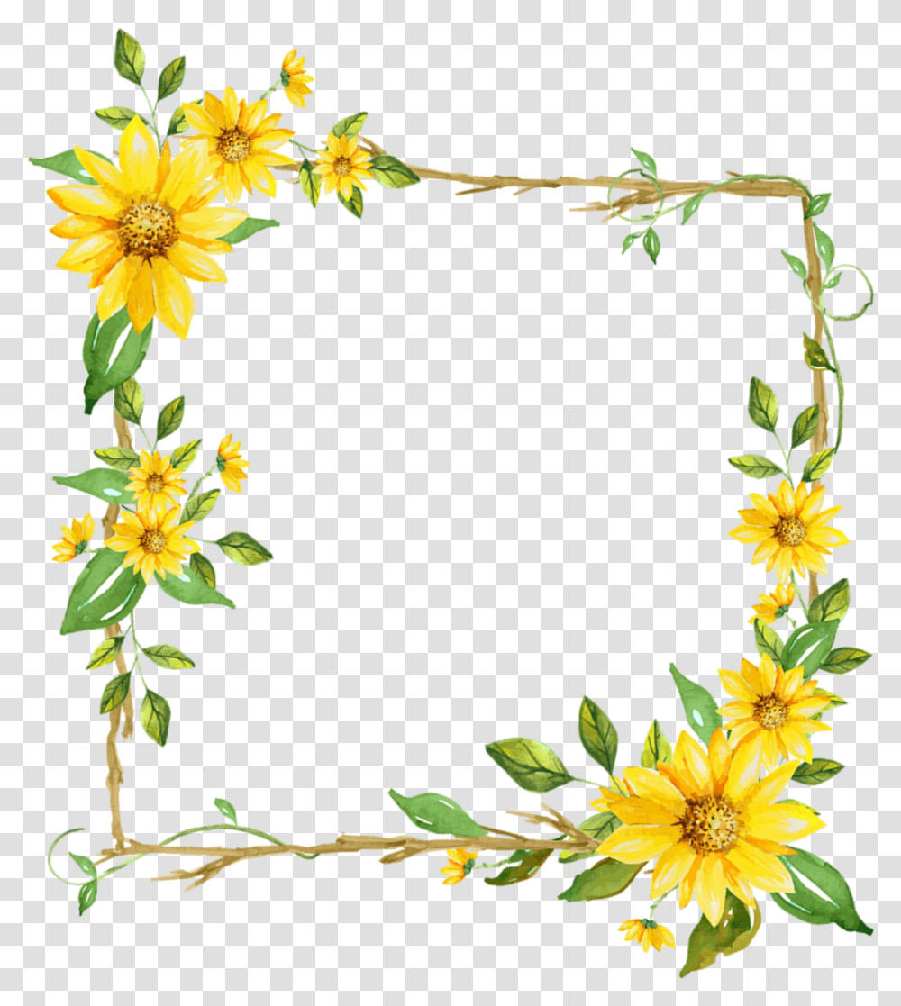 Flower Square Floral Frame Leaf Watercolor Colorful Picsart Photo Studio, Plant, Blossom, Sunflower, Daisy Transparent Png