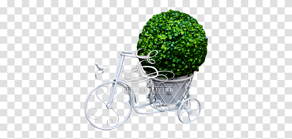 Flower Stand Hd, Bicycle, Vehicle, Transportation, Bike Transparent Png