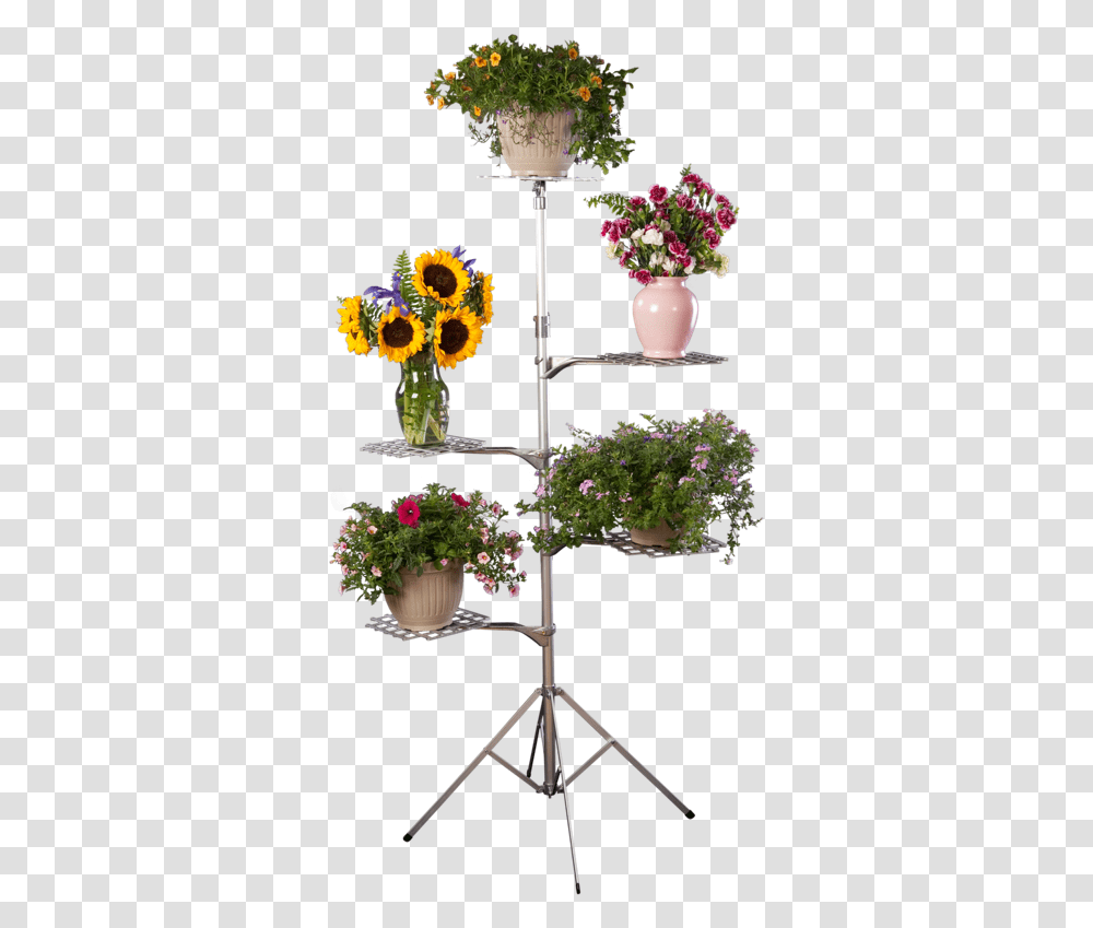 Flower Stand, Plant, Vase, Jar, Pottery Transparent Png