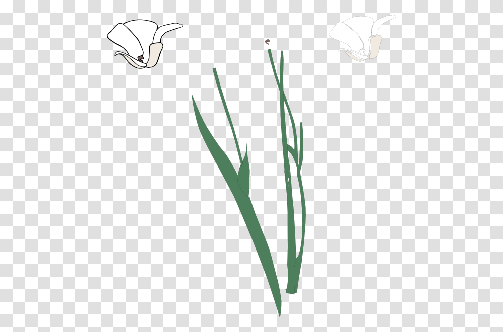 Flower Stem Clipart Black And White, Plant, Blossom, Daffodil, Bird Transparent Png