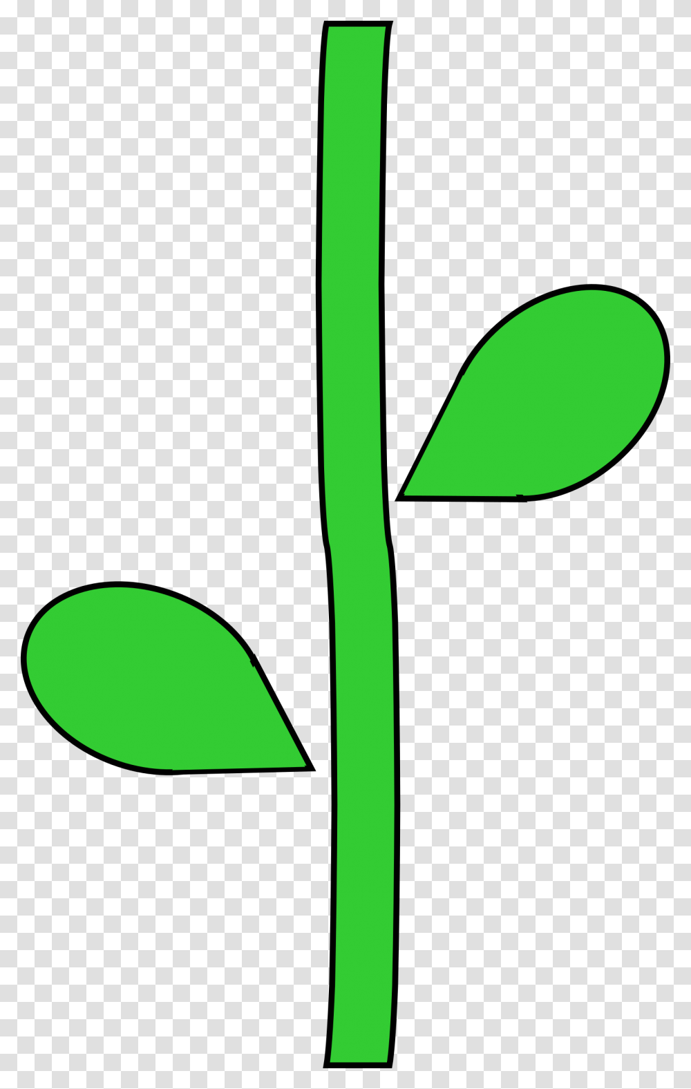 Flower Stem, Green, Plant, Food, Vegetable Transparent Png