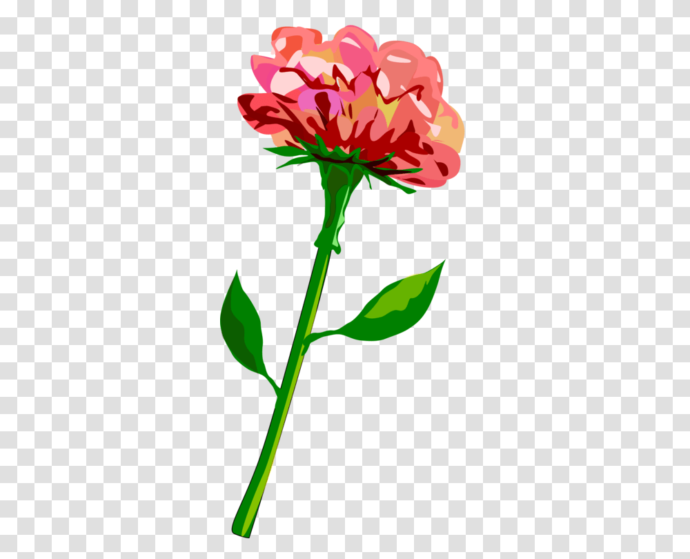 Flower Stem Image Flower Border Clip Art, Plant, Green, Bird, Animal Transparent Png