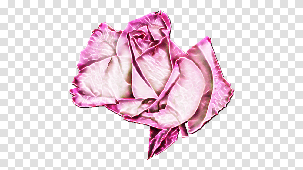Flower Still Life Photography, Art, Paper, Origami, Rose Transparent Png