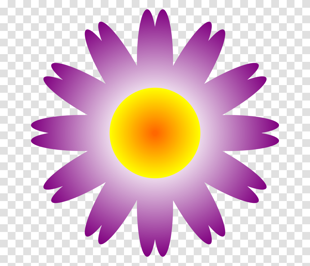 Flower Stock Photography, Plant, Daisy, Petal, Outdoors Transparent Png