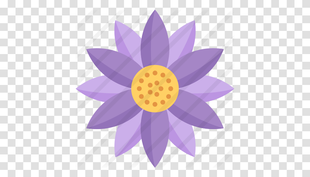 Flower Sunflowers, Plant, Blossom, Daisy, Daisies Transparent Png